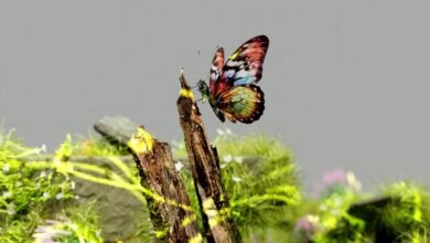 digital exploration experience unveiled