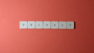 digital identity platform launch