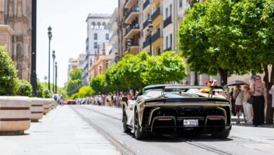 elegant vehicle license designs