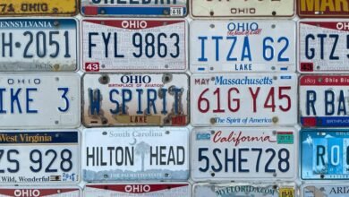 state license plate information