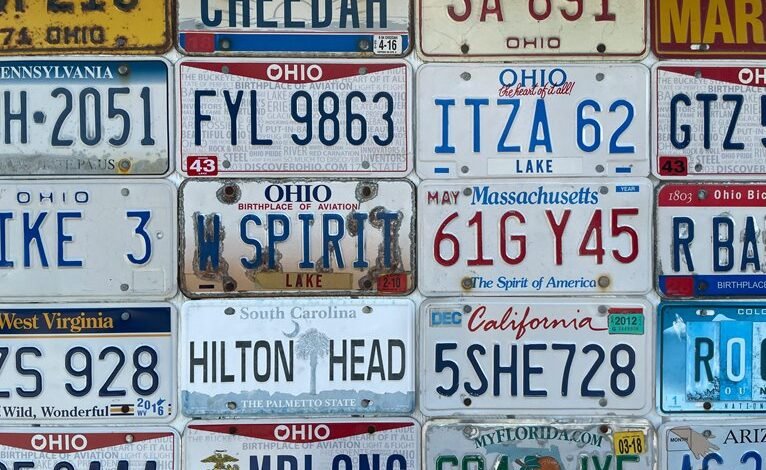 state license plate information