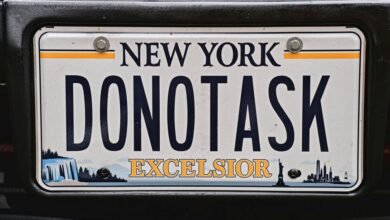 state number car registration