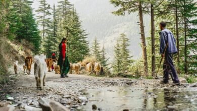 unconventional journey of discovery