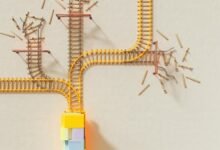 consumer insights and strategies