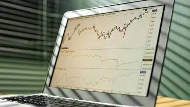 financial growth and projections