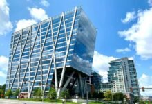 market growth and opportunities