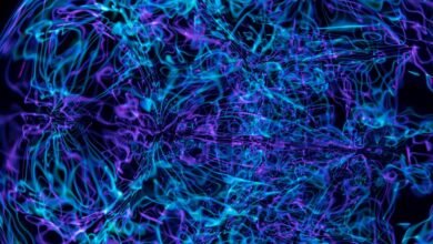 apex beam neural pulse