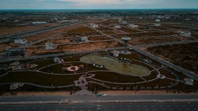 peak conversion growth expansion