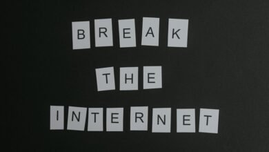 online buzz around 3367853100 numbers