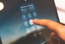 phone number details explained today